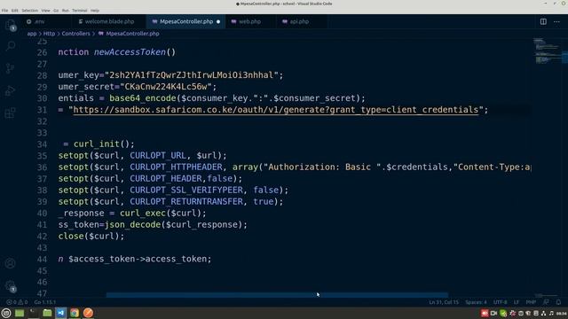 Laravel M-PESA C2B Integration Part 4 смотреть онлайн