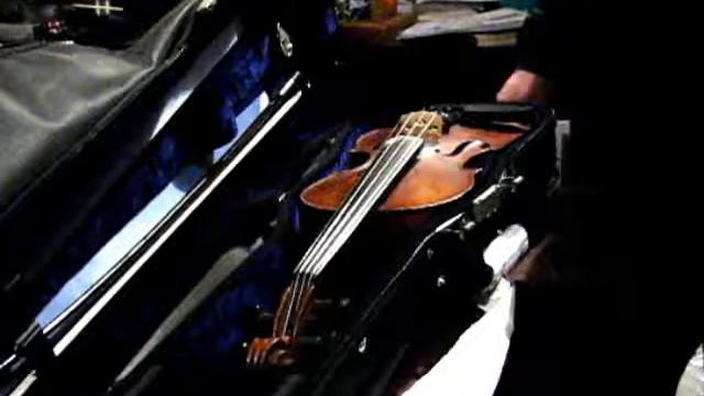 Gewa Maestro Case Review