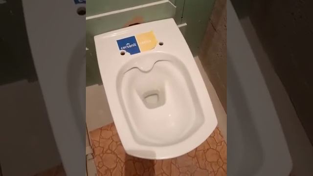 безободковый унитаз карина от церсанит