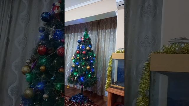 Нарядили ёлочку для встречи нового 2024 года#Диляблог# #Нарядилиелочку# смотреть онлайн