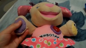 Интерактивные игрушки: Сестричка ученого щенка Fisher Price.(Фишер Прайс)
