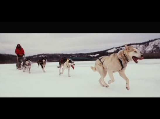 Life Below Zero смотреть онлайн