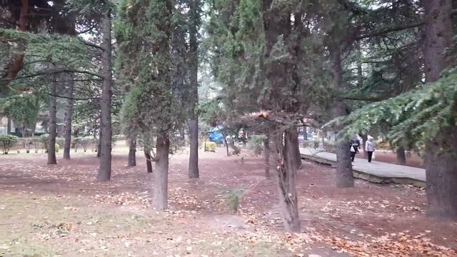 АЛУШТА. ДОБРАЛАСЬ ДО МОРЯ в НОЯБРЕ. ПРОШЛАСЬ ПО ГОРОДУ и ЕГО УЛИЦАМ. ПЛЯЖ НАБЕРЕЖНАЯ. ЭТО КРЫМ 2021 смотреть онлайн