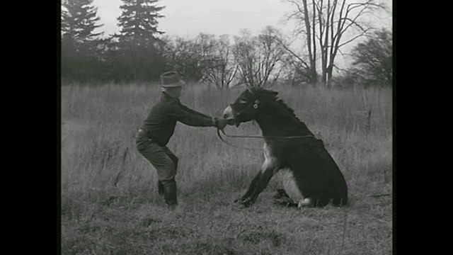 Oliver Anthony - Rich Men North Of Richmond (Slowed Reverb) смотреть онлайн