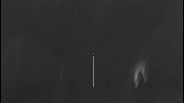 Лось переходит поле. Тепловизор. Moose is crossing the field. Thermal scope. смотреть онлайн