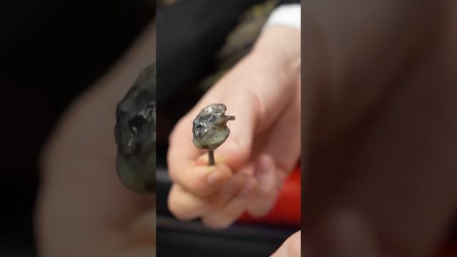 Съедобные улитки! Как на вкус? смотреть онлайн