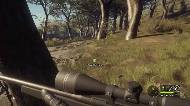 2021 RED DEER guide Part 2(Parque Fernando)! - The Hunter: Call of the Wild смотреть онлайн