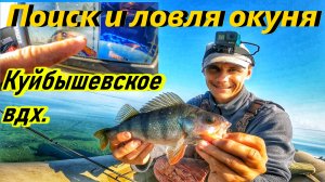 ОКУНЬ/ЛОВЛЯ ОКУНЯ/СПИННИНГ/РЫБАЛКА НА ВОЛГЕ/ЖОР ОКУНЯ/РЫБАЛКА В РОССИИ/ПОИСК ХИЩНИКА С ЭХОЛОТОМ/ДЖИГ