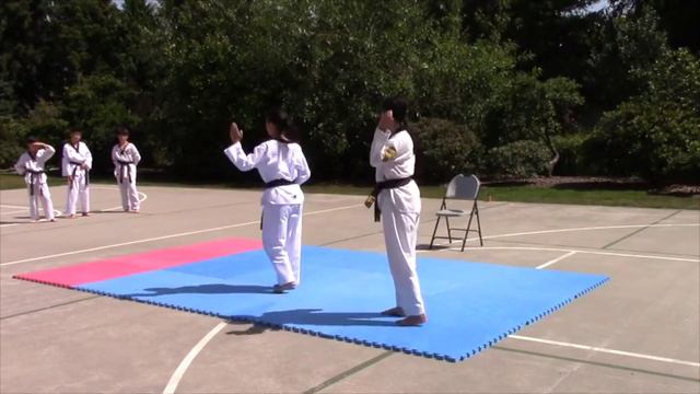 2016 Taekwondo Demo at Rhododendron Park (Shin's Taekwondo Academy) смотреть онлайн