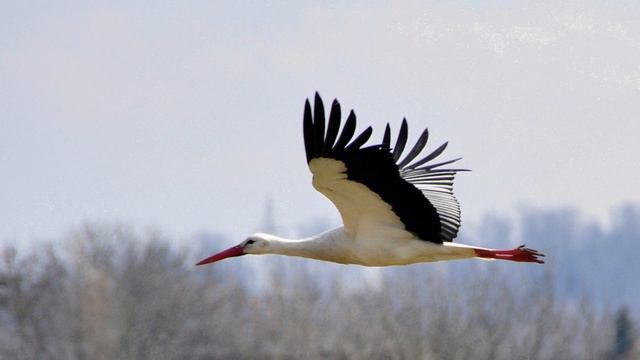 Евангелие дня 24 мая 2023 с толкованием. Апостол дня. Жития Святых смотреть онлайн