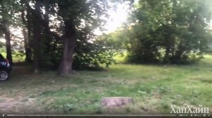 ЗАЧЕМ НУЖНЫ КЛЕЩИ В ПРИРОДЕ?