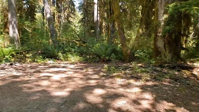 Solo Female Travels Full Time and Lives In A Minivan | Finding a FREE private oasis on Baker Lake! смотреть онлайн
