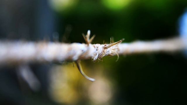 Healing Trauma Recovery - Guided Meditation for Relaxation, PTSD, Anxiety and Sleep смотреть онлайн