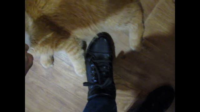 Не уходи, побудь со мною! смотреть онлайн