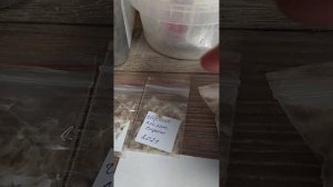 Гацания, сбор семян