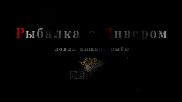 РЫБНЫЕ КОНСЕРВЫ в томате, очень вкусно, самый быстрый способ. безкассетный АВТОКЛАВ НЕФОР 16 смотреть онлайн