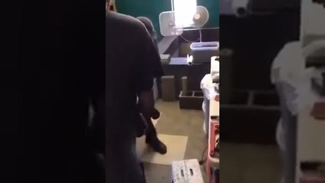 Змея вцепилась в руку смотреть онлайн