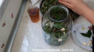 ?Самого простого Засолка?из ПОРТУЛАКА на Зиму./The simplest Salting ? from PORTULAC for the Winter.