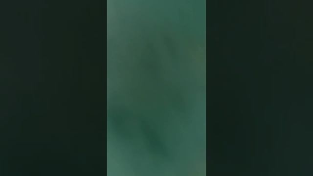 Cave jumping? смотреть онлайн
