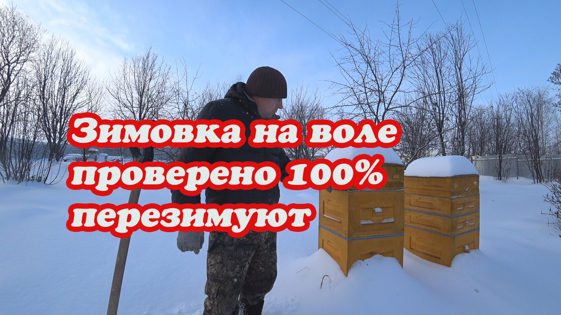 МОЙ ПРОВЕРЕННЫЙ МЕТОД ЗИМОВКИ ПЧЁЛ НА ВОЛЕ, ПЕРЕЗИМУЮТ 100% смотреть онлайн