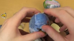 Angry Birds Surprise Chocolate Eggs
