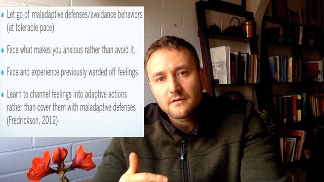 Psychotherapy Enhancement Training, with Johannes Kieding, LCSW смотреть онлайн