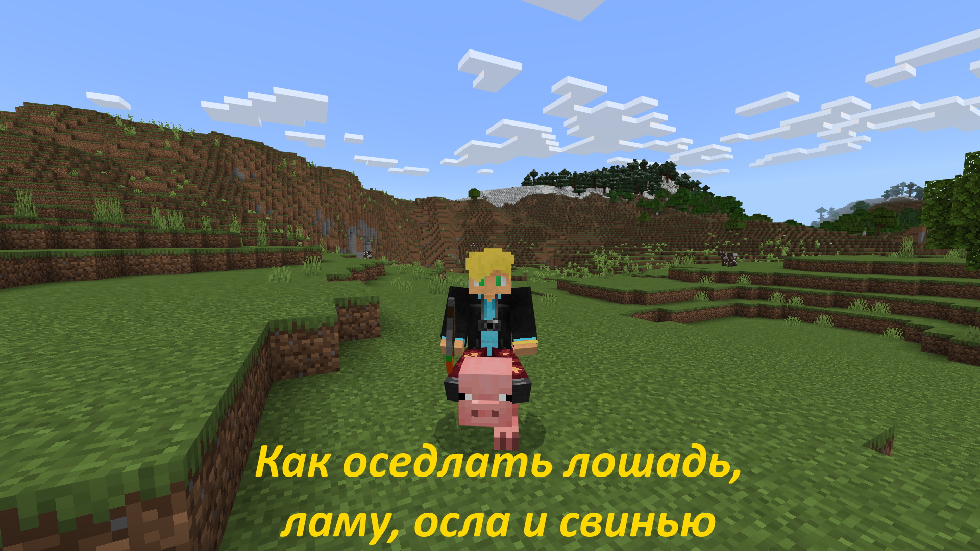 Как оседлать лошадь, ламу, осла и свинью с помощью седла в Майнкрафт смотреть онлайн