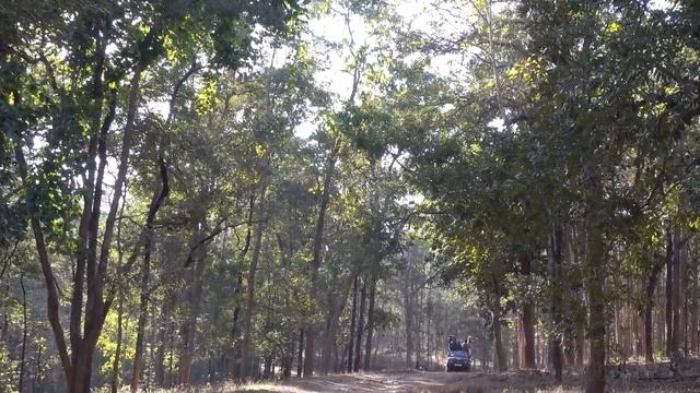 MOST BEAUTIFUL NAGZIRA WILDLIFE SANCTUARY MAHARASHTRA