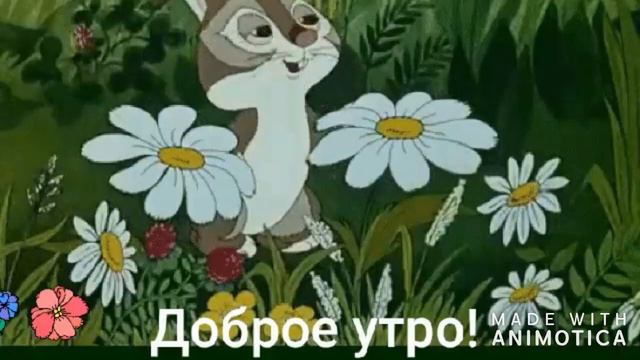С добрым утром!Всем привет! смотреть онлайн