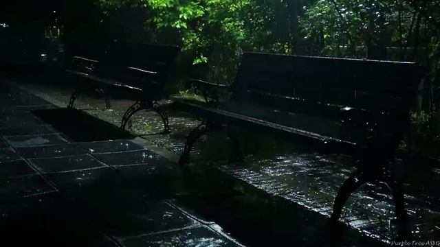 Настоящие сильные звуки дождя и грома ночью для глубокого сна. 1 ЧАС ~Расслабление, Медитация, Учеба смотреть онлайн