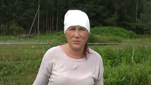 Как правильно посадить голубику на гребень смотреть онлайн