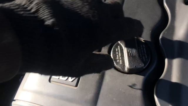 Разборка Volkswagen - Passat 5 1996-2000, 1.8 (VIN: VWVZZZ3BZWE109160) 69138 смотреть онлайн