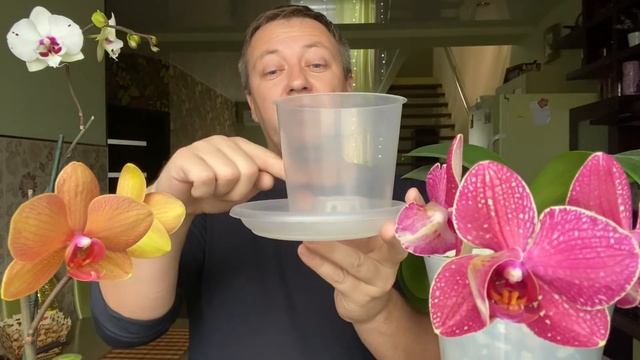 ОРХИДЕИ и ТОРФЯНОЙ стакан / уход за орхидеей до и после пересадки, полив фаленопсиса смотреть онлайн