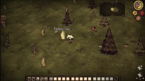 Dst Wirra ДИТЁ ПРИРОДЫ обзор персонажа из мастерской