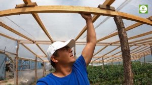 Парник-теплица своими руками за копейки. Новый способ накрытия парников пленкой.