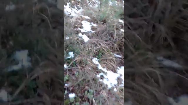 Монстр рейк смотреть онлайн