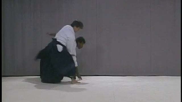 Aikido The Power - Basics Volume 2