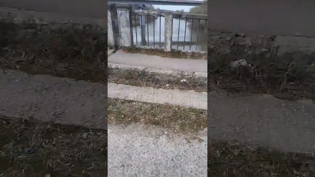 Пахра Московской обл смотреть онлайн