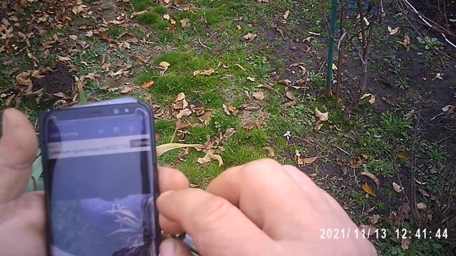 Проверка качества записи камерой Groudchat