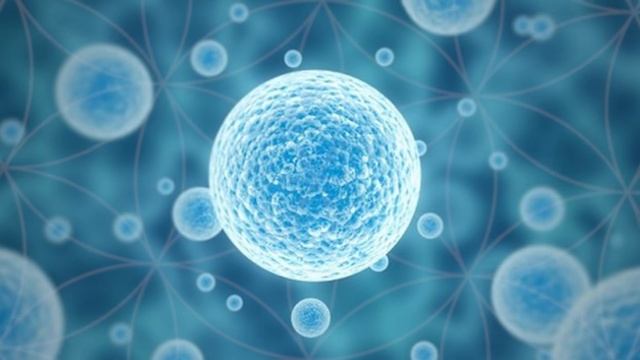 50 Hz, 40 Hz, 13 Hz, 9.6 Hz, 7.83 Hz, Isochronic Tones смотреть онлайн