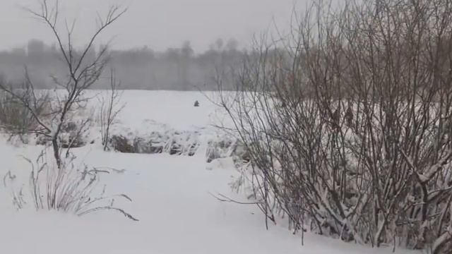 ловля карася на хопре смотреть онлайн