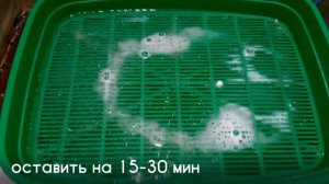 Как очистить кошачий туалет_.mp4