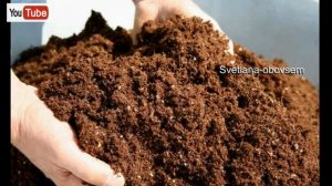 ГОТОВИМ ОПИЛКИ ДЛЯ ВНЕСЕНИЕ В ГРЯДКИ, ДЛЯ ОГРОМНОГО УРОЖАЯ..КАК РАСКИСЛИТЬ И ПОПОЛНИТЬ АЗОТОМ ПОЧВУ