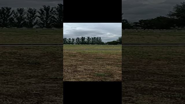 Воинское мемориальное кладбище. Мамаев Курган. смотреть онлайн