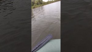 лодочный, бесщеточный электромотор с Алиэкспресс.от 12vдо24v