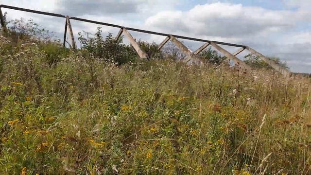 Про рогоз, тростник и белую собачку. смотреть онлайн