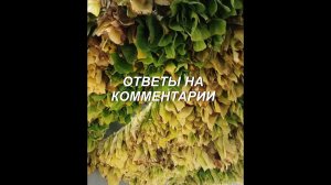 ОТВЕТЫ НА КОММЕНТАРИИ