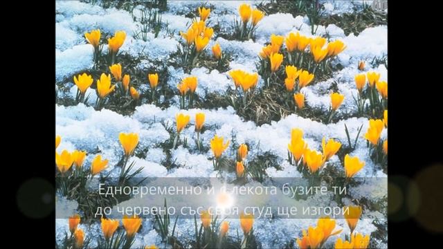 Прекрасният Март - стих, пожелание