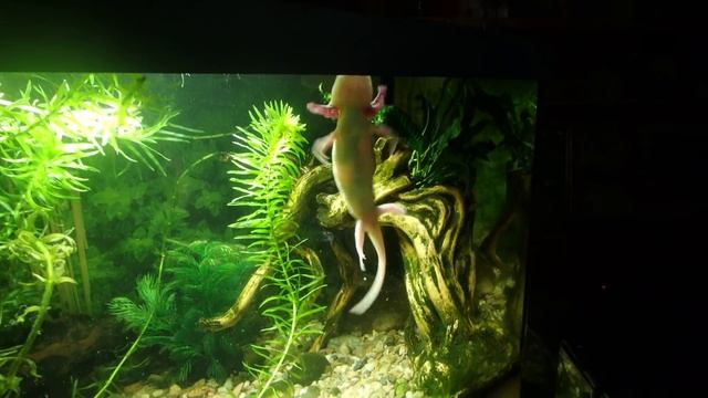 очиститель воздуха - стоит ли покупать? смотреть онлайн