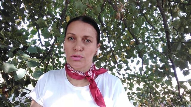 Какую роль наставник играет в нашей жизни? И почему важно стать наставником доя других?